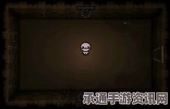 以撒的结合，全面角色介绍与属性用法解析，技巧方法详解