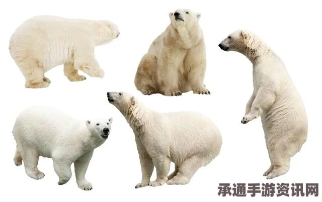 最终幻想7重生白毛天使攻略，技巧与策略