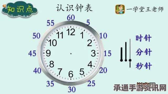 动物之井钟表上的数字，解读与技巧应用