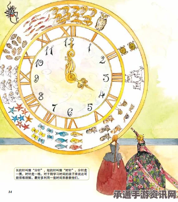 动物之井钟表上的数字，解读与技巧应用