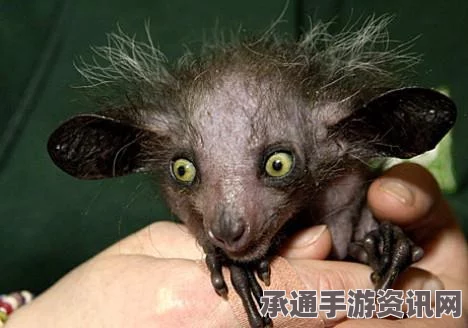 最终幻想7重生，来自海洋的恶魔攻略及技巧方法详解