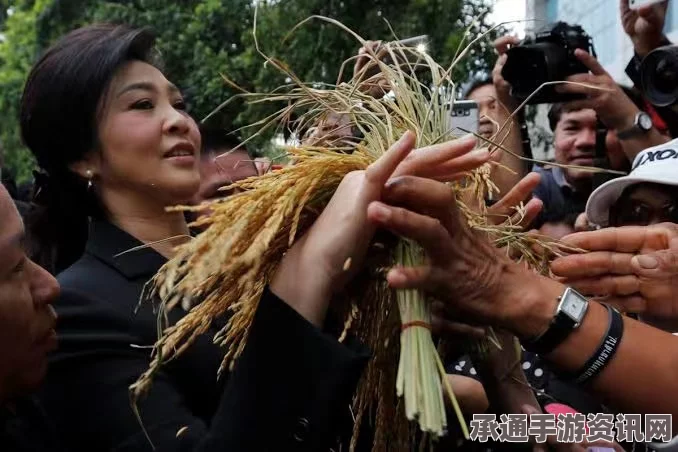 英拉起诉泰国总检察长，大米收购案处理不公，深度解析及应对技巧