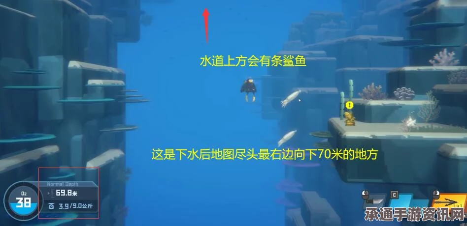 潜水员戴夫喷射积格模型攻略详解，位置技巧大解密与玩法探讨
