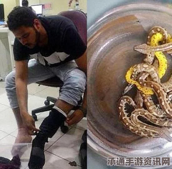 英国男子飞机上遭毒蜘蛛咬伤事件，经历与教训