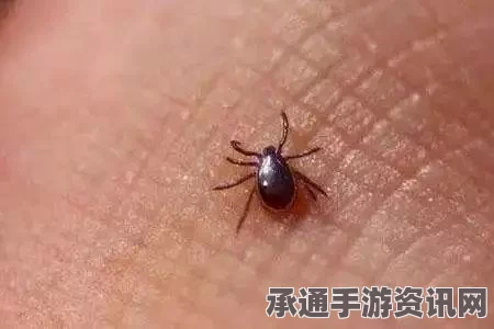 英国男子飞机上遭毒蜘蛛咬伤事件，经历与教训