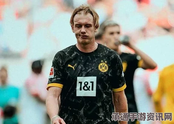 布兰特的生平和动荡年代的挣扎，探究其历史背景与应对技巧