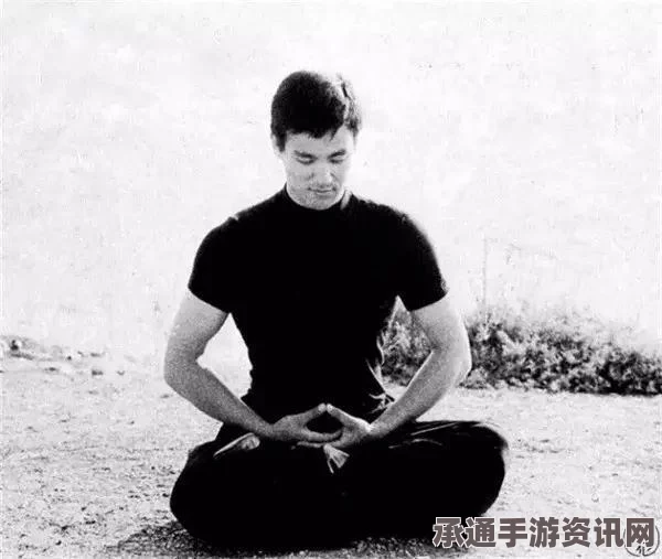 布兰特的生平及其痛苦总督受辱的处理技巧方法