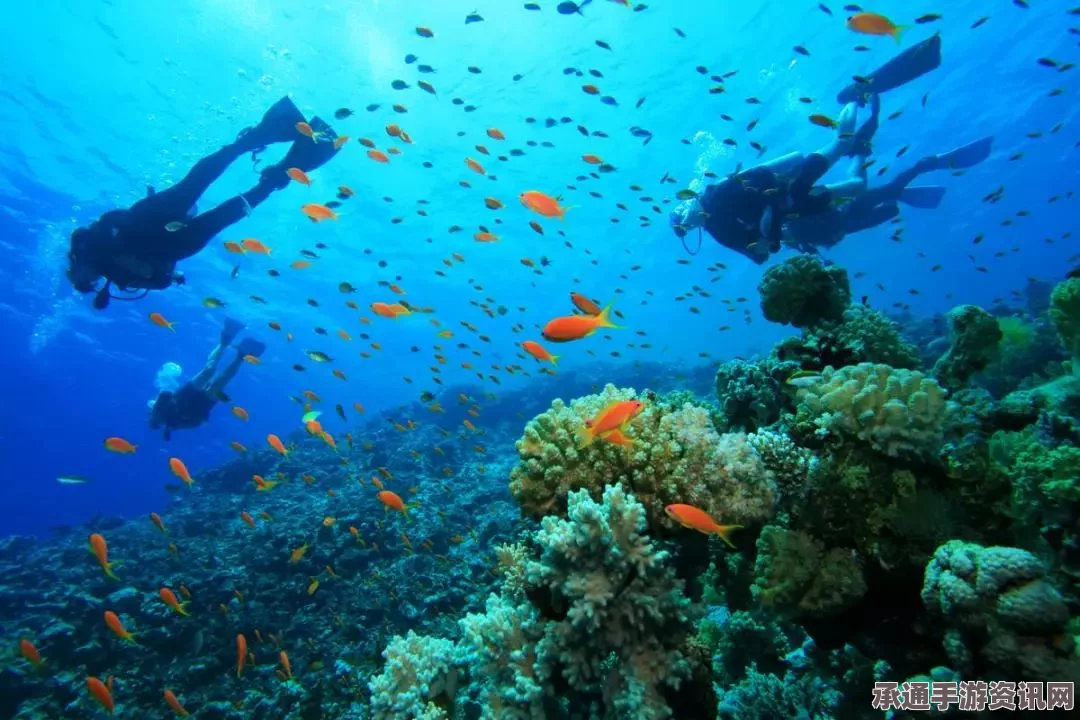 新西兰拟划设大规模海洋保护区，面积堪比法国，保护海洋生态的技巧与方法探讨