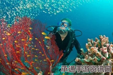 新西兰拟划设大规模海洋保护区，面积堪比法国，保护海洋生态的技巧与方法探讨