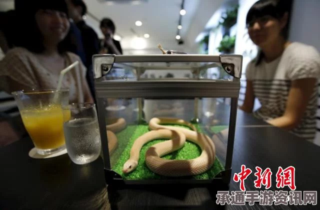 日本东京蛇咖啡厅的魅力四溢，成为女生新宠（附图）