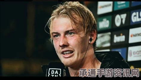 布兰特生平和痛苦拉塔日的智慧之旅，深度解析与技巧方法探索