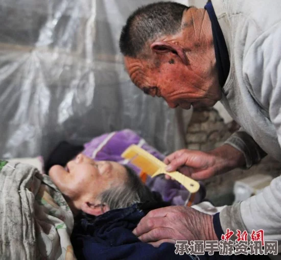 老妻癌症晚期生死抉择，老人开枪送行后的深度反思与情感解析