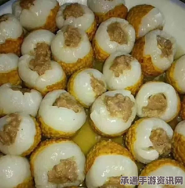 牧野之歌，白银荔枝酿肉的制作方法与技巧指南