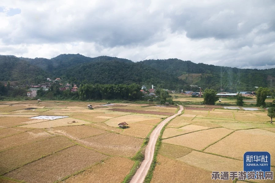 老挝政府确认中老铁路将于2015年开工建设，项目细节与技巧方法