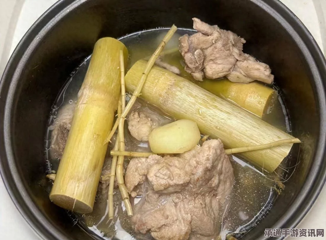 牧野之歌，极品甘蔗煲汤的秘诀与技巧