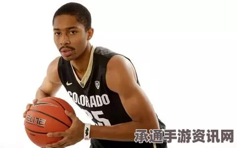 布兰特的生平和痛苦异端，逃亡之路与应对方法解析