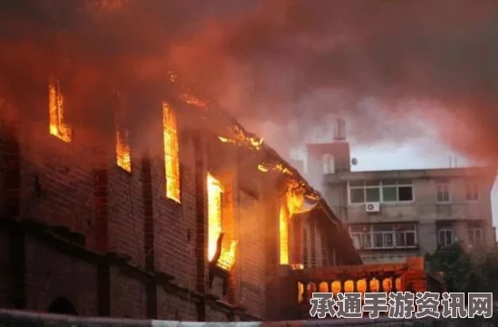 美国男子加油站点火烧蜘蛛引发大火烧毁油泵事件全解析，应对方法与案例分析（附图详解）