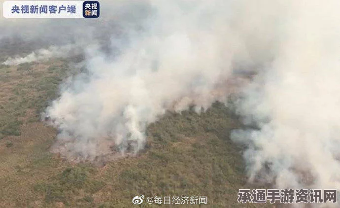 美国男子加油站点火烧蜘蛛引发大火烧毁油泵事件详解及应对技巧方法（附图）